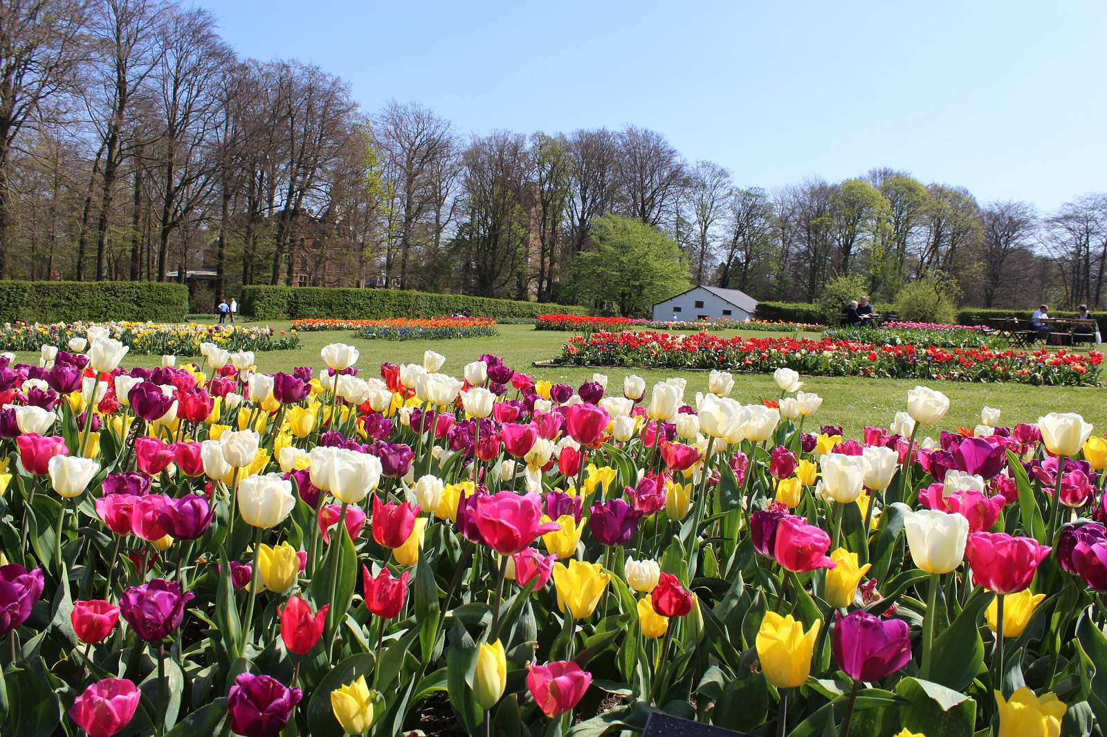 floralia-brussels_3f462e511189b2465549973d17866d30